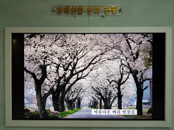 ff20a7c958c9eca46313dbf563a80bd9_1558410719_6576.jpg